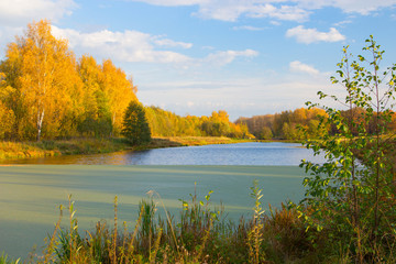 Fototapeta na wymiar autumn beautiful panoramic rural landscape