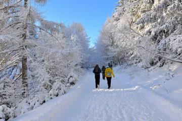 Foto op Plexiglas verschneite Winterlandschaft frostig kalt © sonne_fleckl