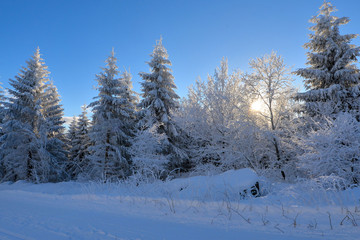 verschneite Winterlandschaft frostig kalt