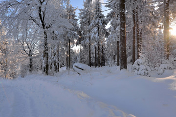 verschneite Winterlandschaft frostig kalt