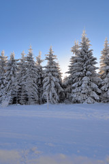 verschneite Winterlandschaft frostig kalt