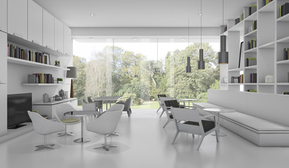 3d rendering white modern library with garden view