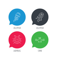Colored speech bubbles. Jellyfish, crab and ladybug icons. Ladybird linear sign. Flat web buttons with linear icons. Vector
