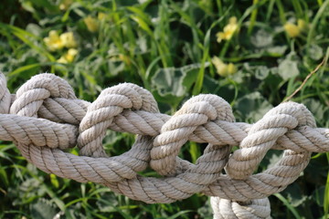 Knotted rope