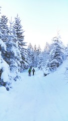 Schneeschuhwanderung