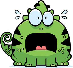 Terrified Little Lizard