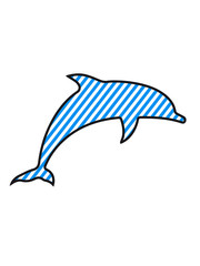 Delfin design