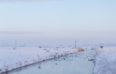 River in a snowy landscape with flying birds