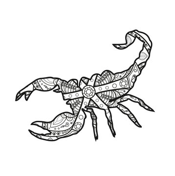 Vector illustration of a scorpio mandala for coloring book, scorpione mandala vettoriale da colorare