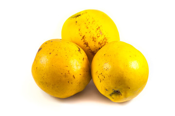 Ripe quinces isolated on white