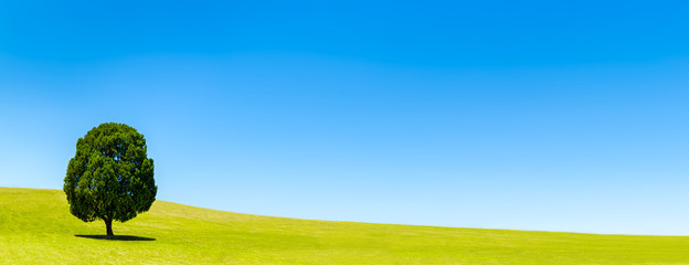 Obraz na płótnie Canvas Grüne Landschaft mit blauem Himmel als Hintergrund