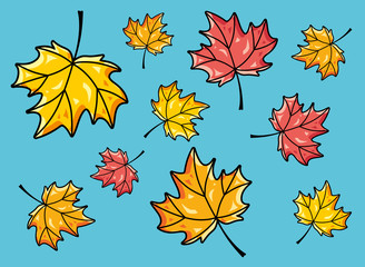 Autumn maple leaves, background illustration.