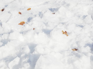 snow texture