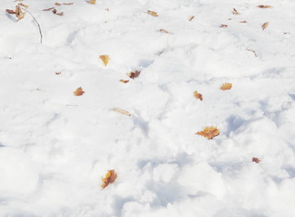 snow texture