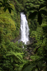 Waterfall, Hana, Maui
