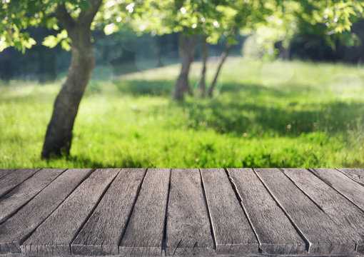 summer garden and wooden plank
