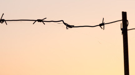 Barbed wire at sunset