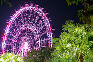 The Orlando Eye is a 400 feet tall ferris wheel in the heart of Orlando and the largest observation...