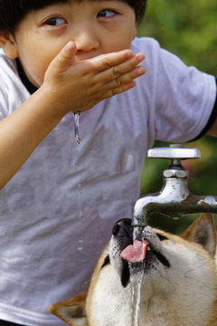 仲良く水を飲む子供と柴犬