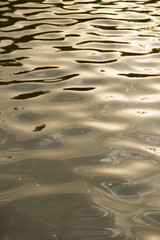background of yellow surface of the water