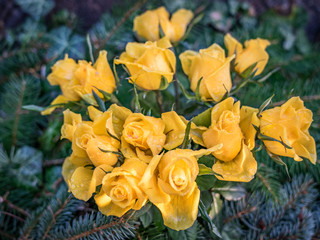 Grabschmuck, Strauß gelber Rosen 