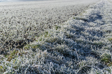 winter