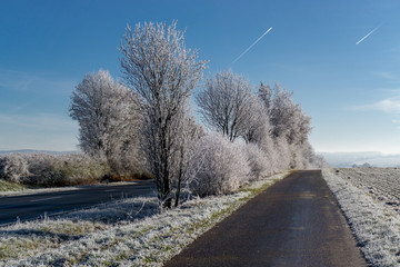 winter