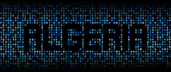 Algeria text on hex code illustration