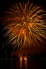 view of a firework on the sea