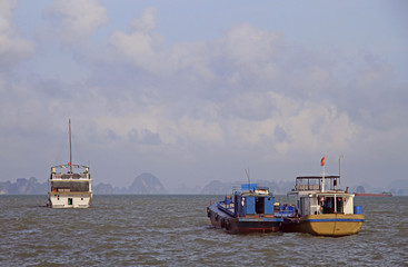 Fototapeta premium Ha long bay in Vietnam