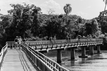 Tourists walking over a bridge to the Iguazu Fall in Argentina in black and white