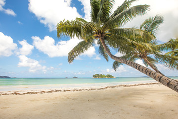Obraz na płótnie Canvas Beach view on the island of Praslin, Seychelles.