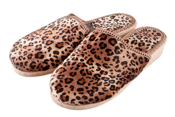 female domestic leopard slippers isolated on white background