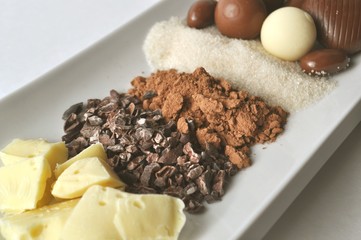 Ingredients for making chocolate - raw cacao butter, crushed cocoa beans, cocoa powder, cane sugar and chocolates