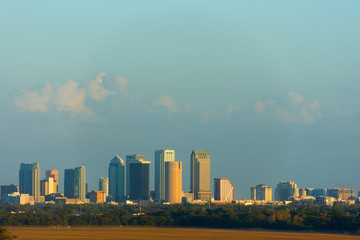 Fototapeta premium Full Tampa Florida skyline showing construction growth on south side at sunset with tree line and clean field in the foreground