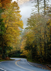 Winding Road Smoky Mountains