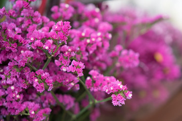 Flowers in Santa Cruz market Tenerife