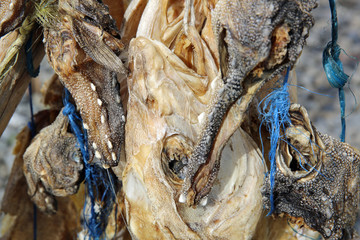 Stockfisch in Island