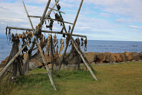 Stockfisch in Island