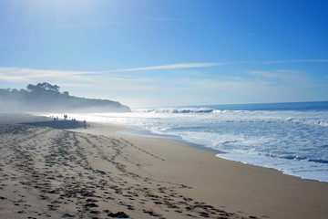 Bright Blue Sunshine Ocean Daydream Walk