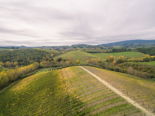Fototapeta na wymiar Tuscany vineyards