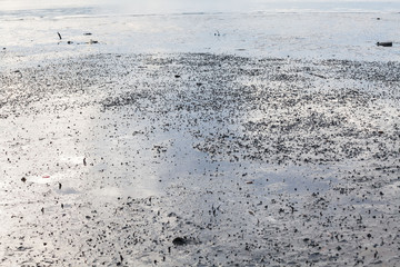 Close up view of mud texture for blur background