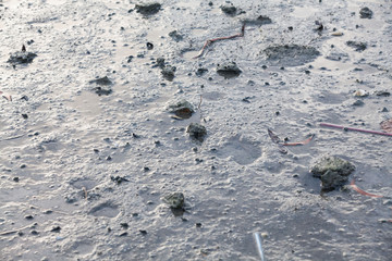 Close up view of mud texture for blur background