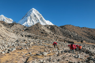 Caravans with cargoes for climbers on the path between the Lobuche and Gorak Shep - Everest region, Nepal