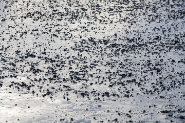 Close up view of mud texture for blur background