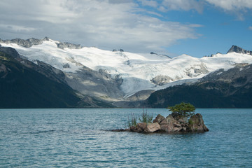 Tree growing on a small island