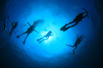 Scuba diving. Underwater divers silhouette against sun
