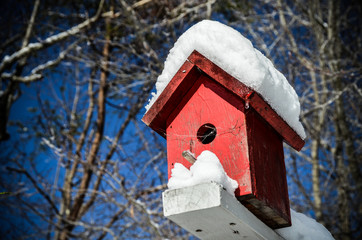 Birdhouse