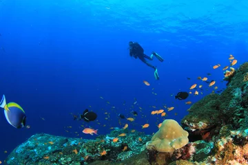 Foto auf Alu-Dibond Gerätetauchen. Taucher schwimmen über Unterwasser-Korallenriffe © Richard Carey