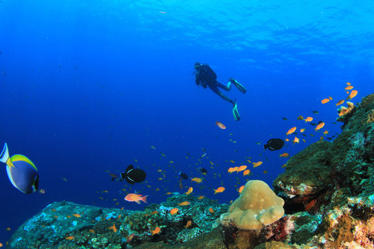 Scuba diving. Divers swim over underwater ocean coral reef
